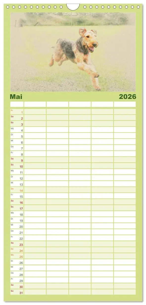 Bild: 9783516520460 | Familienplaner 2026 - Airedale Terrier 2026 mit 5 Spalten...