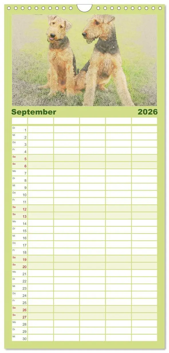 Bild: 9783516520460 | Familienplaner 2026 - Airedale Terrier 2026 mit 5 Spalten...