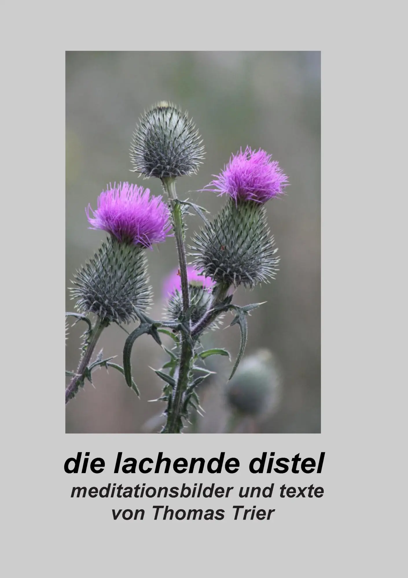 Die lachende Distel: Meditationsbilder und Texte