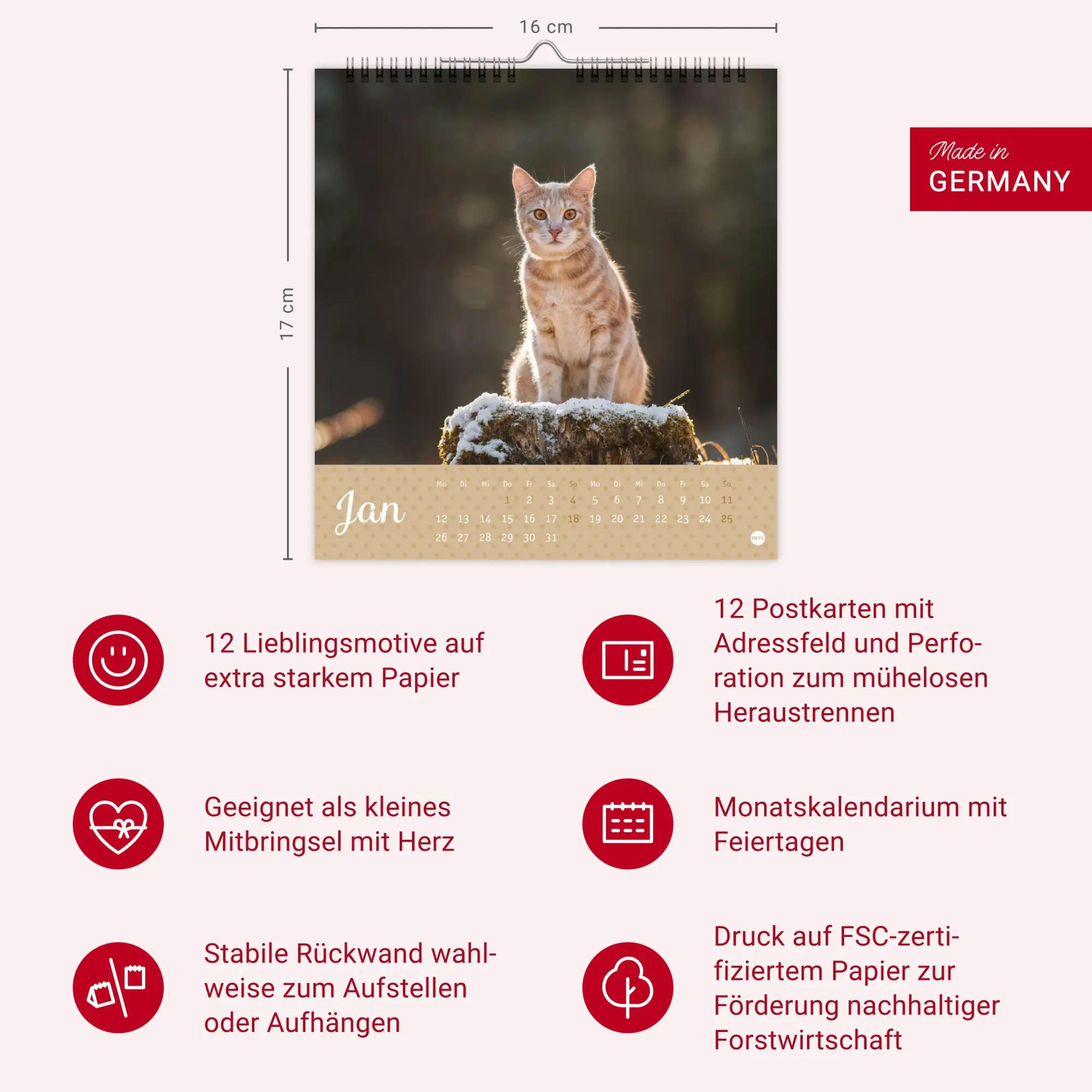 Bild: 9783756410460 | Katzen Postkartenkalender Kleine Tiger 2026 | Heye | Kalender | 13 S.