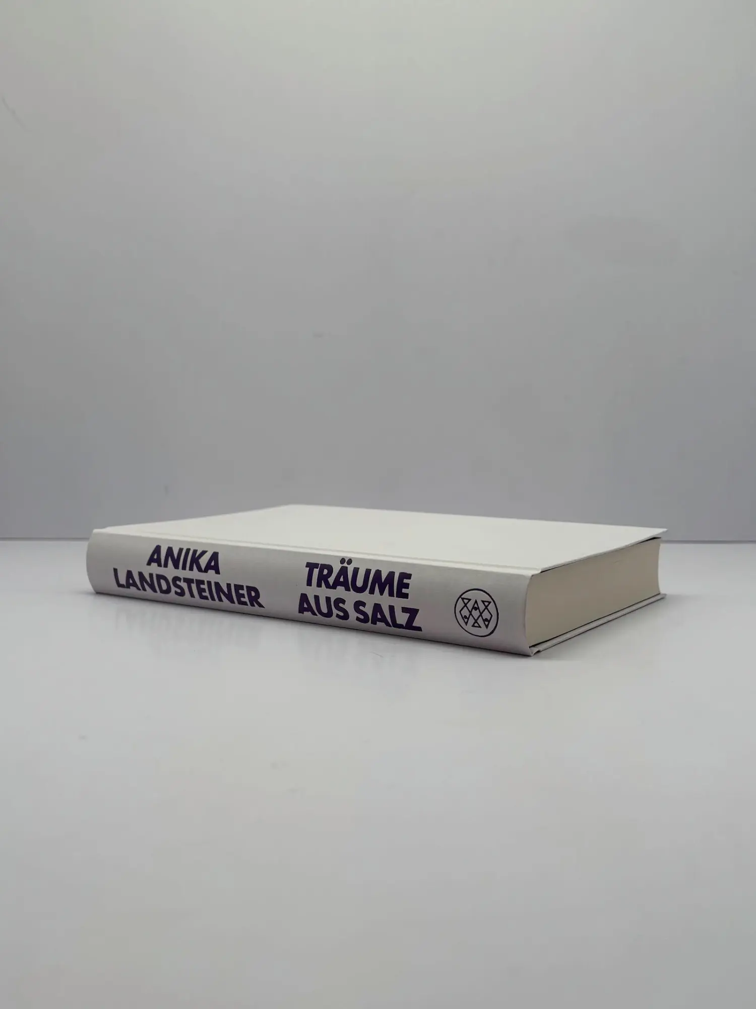 Bild: 9783758700460 | Träume aus Salz | Anika Landsteiner | Buch | 304 S. | Deutsch | 2026