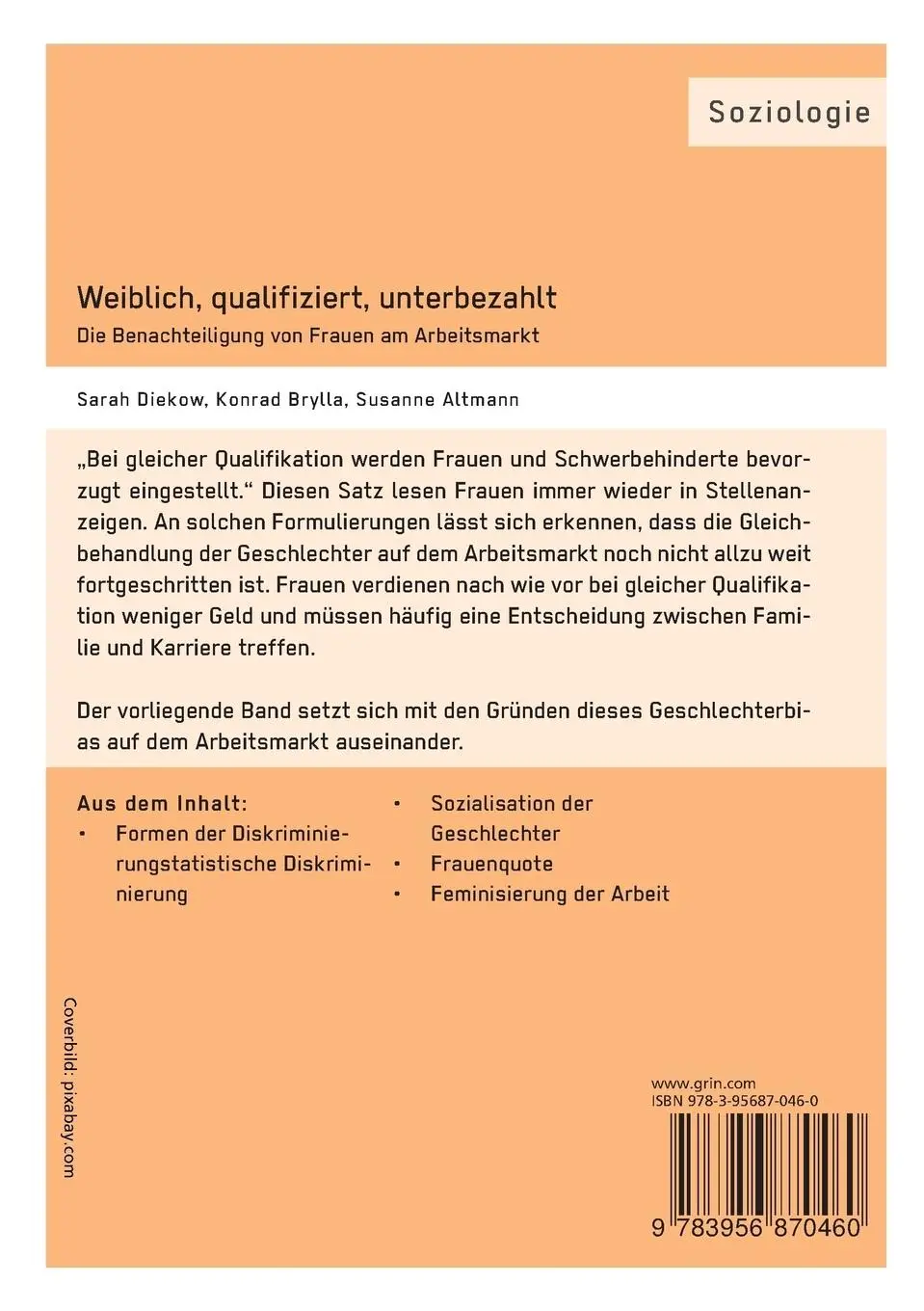 Rückseite: 9783956870460 | Weiblich, qualifiziert, unterbezahlt. Die Benachteiligung von...