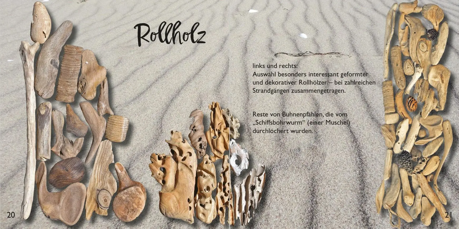 Bild: 9783910150560 | Strandfunde am Ostseestrand | Rolf Reinicke | Broschüre | 60 S. | 2026
