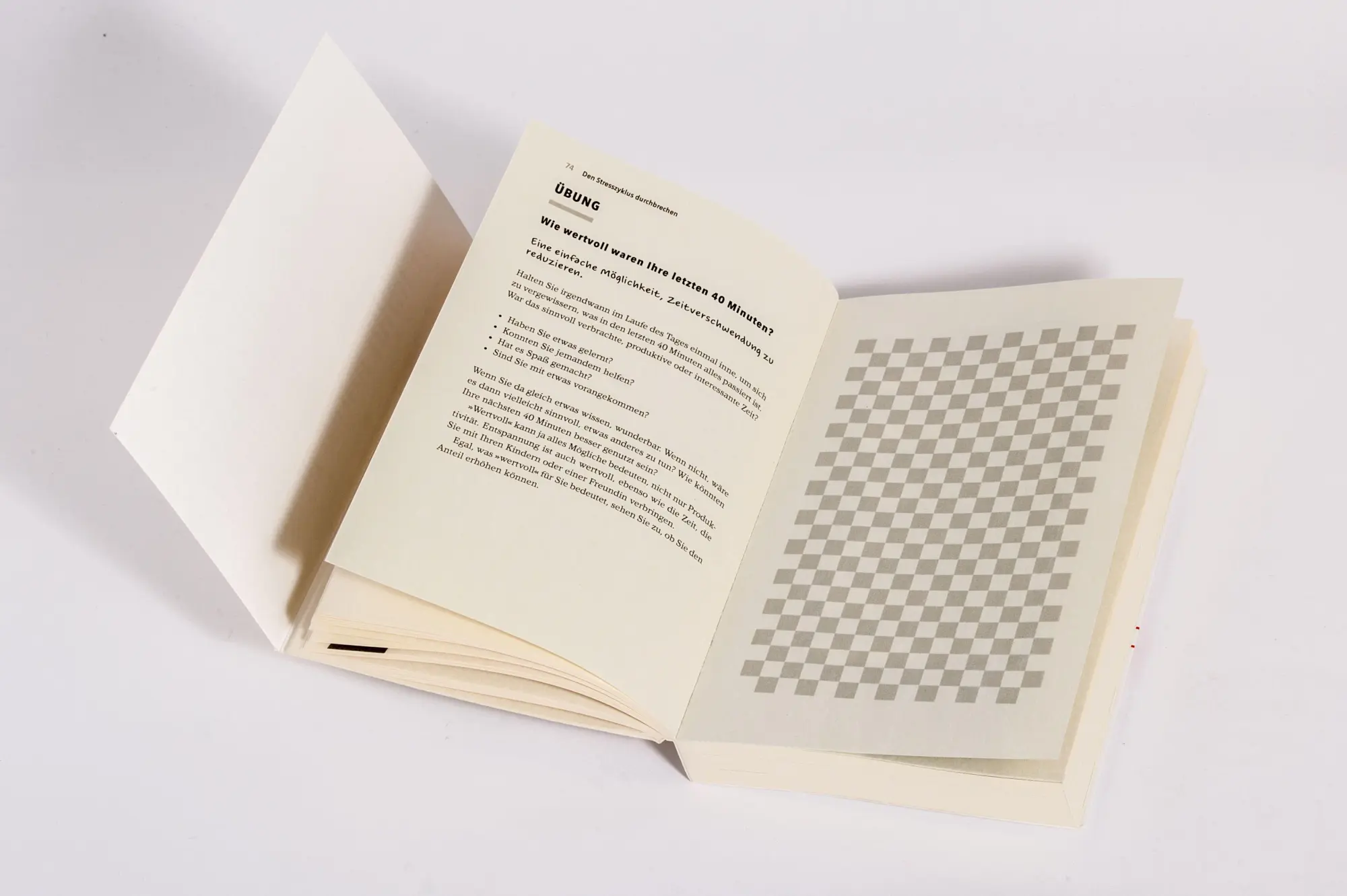 Bild: 9783442180660 | Die Dringlichkeitslüge | Chris Guillebeau | Taschenbuch | 304 S.