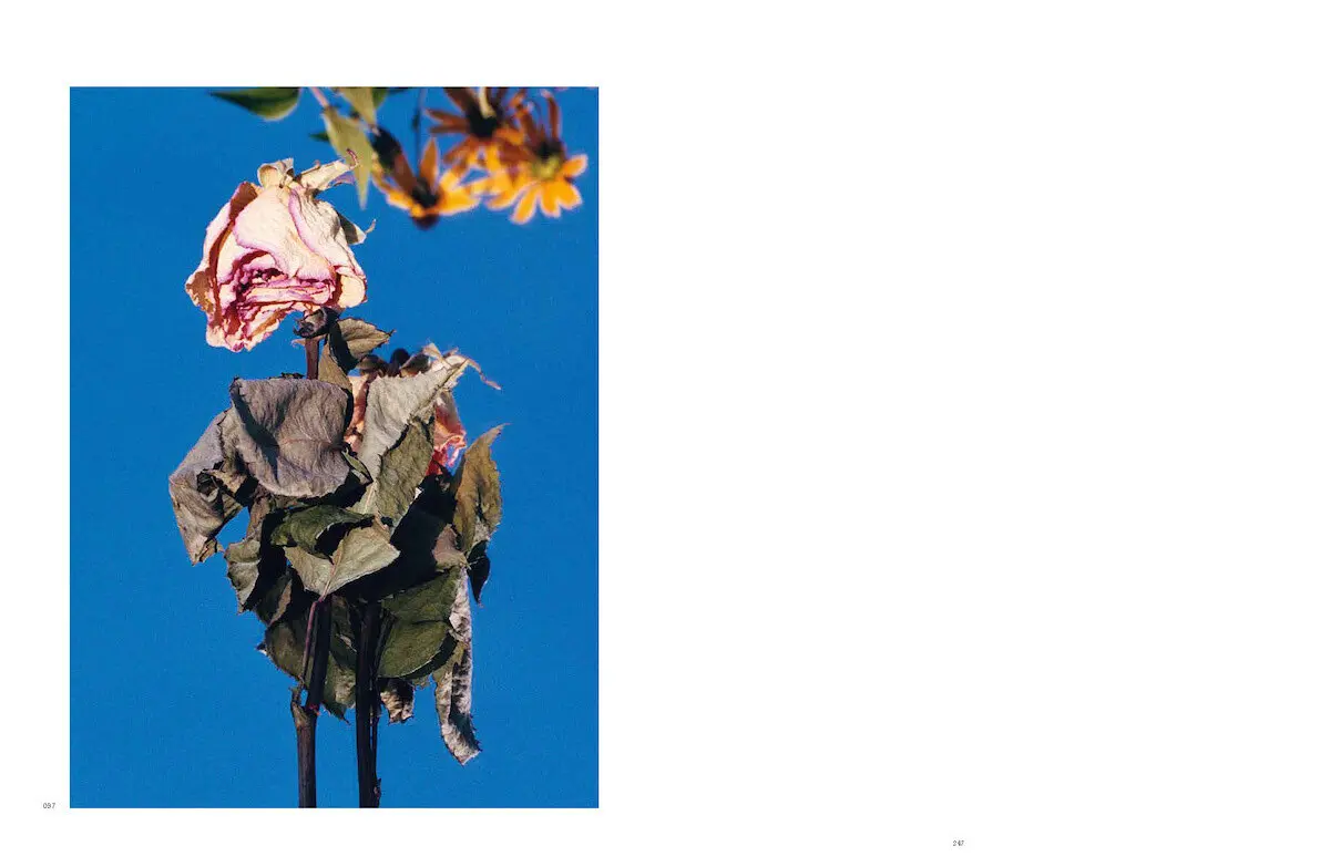 Bild: 9783775750660 | Marius Glauer | GLAUER | Christian Ganzenberg | Taschenbuch | 298 S.
