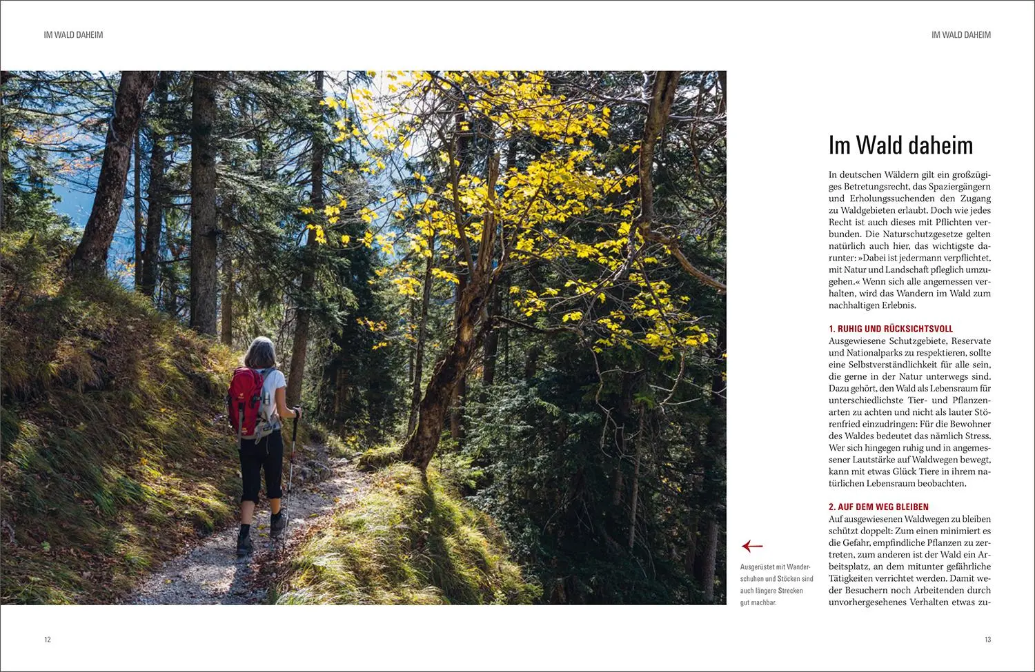 Bild: 9783969650660 | KUNTH Wald &amp; Wandern | Katinka Holupirek (u. a.) | Buch | 336 S.
