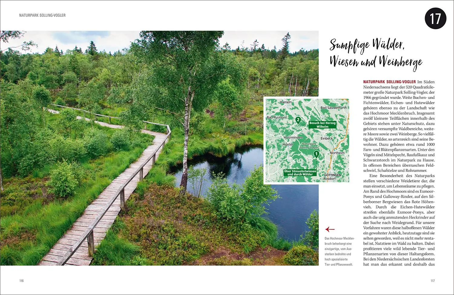 Bild: 9783969650660 | KUNTH Wald &amp; Wandern | Katinka Holupirek (u. a.) | Buch | 336 S.