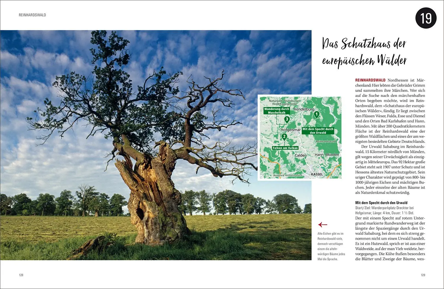 Bild: 9783969650660 | KUNTH Wald &amp; Wandern | Katinka Holupirek (u. a.) | Buch | 336 S.