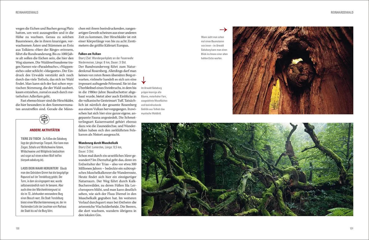 Bild: 9783969650660 | KUNTH Wald &amp; Wandern | Katinka Holupirek (u. a.) | Buch | 336 S.