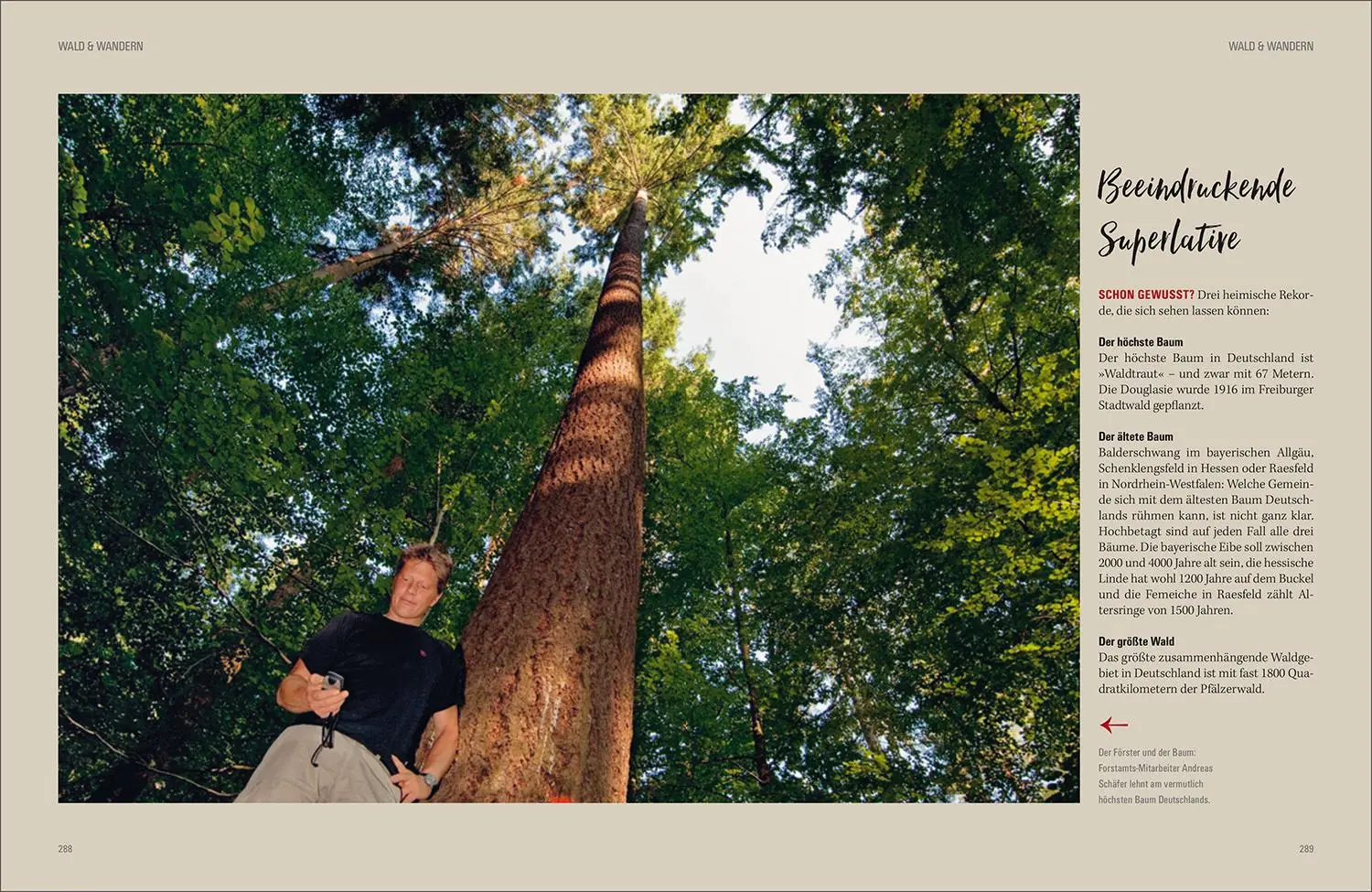 Bild: 9783969650660 | KUNTH Wald &amp; Wandern | Katinka Holupirek (u. a.) | Buch | 336 S.