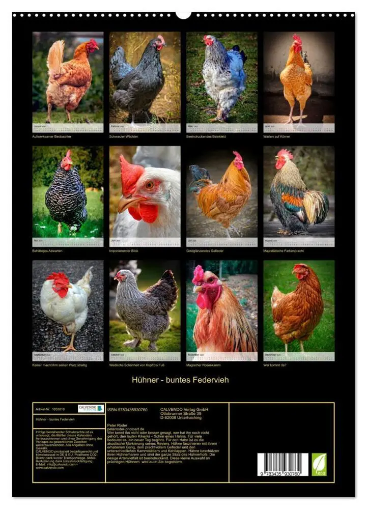 Bild: 9783435930760 | Hühner - buntes Federvieh (Wandkalender 2025 DIN A2 hoch), CALVENDO...