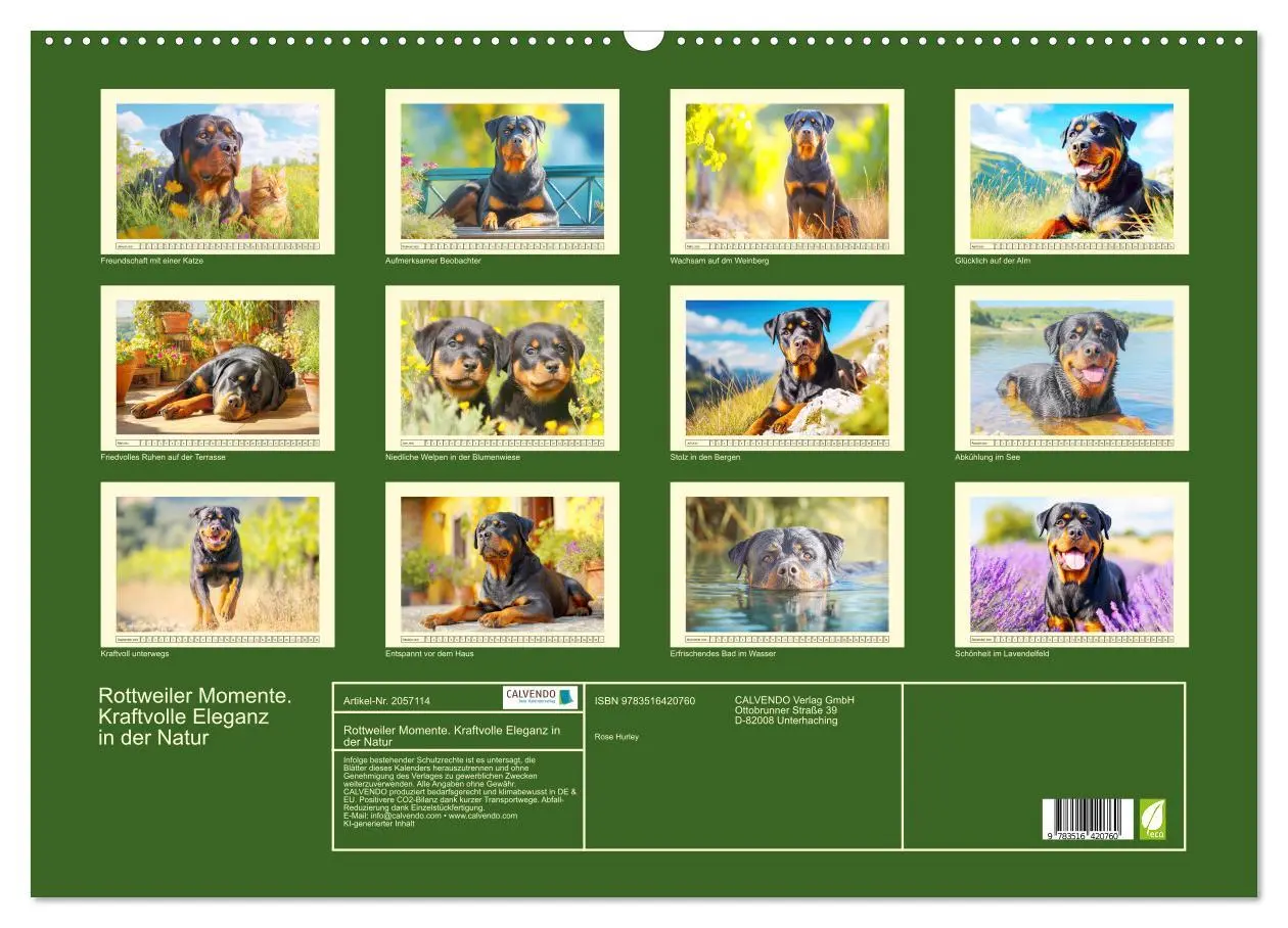 Bild: 9783516420760 | Rottweiler Momente. Kraftvolle Eleganz in der Natur (Wandkalender...