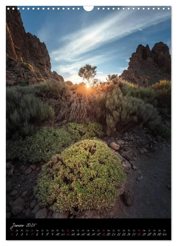 Bild: 9783457010860 | Teneriffa Eine Rundreise (Wandkalender 2025 DIN A3 hoch), CALVENDO...