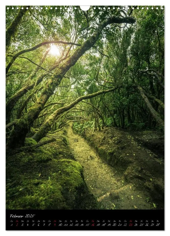 Bild: 9783457010860 | Teneriffa Eine Rundreise (Wandkalender 2025 DIN A3 hoch), CALVENDO...