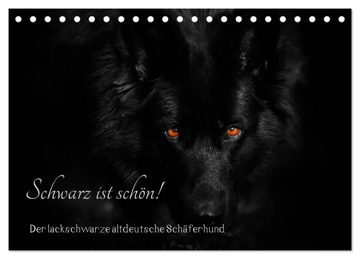 Cover: 9783516030860 | Schwarz ist schön! Der lackschwarze altdeutsche Schäferhund...