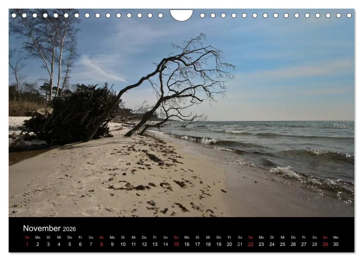 Bild: 9783516100860 | Dänemarks Bornholm 2026 (Wandkalender 2026 DIN A4 quer), CALVENDO...