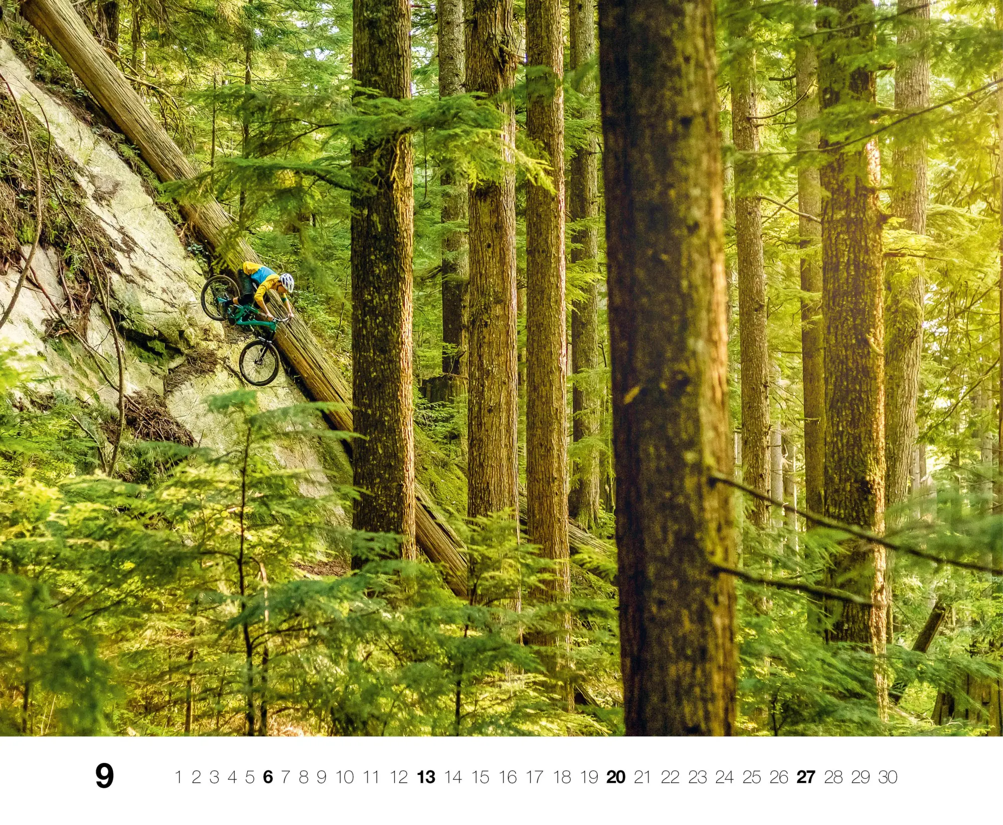 Bild: 9783667130860 | Freeride 2026 | Kalender | 14 S. | Deutsch | 2026 | EAN 9783667130860
