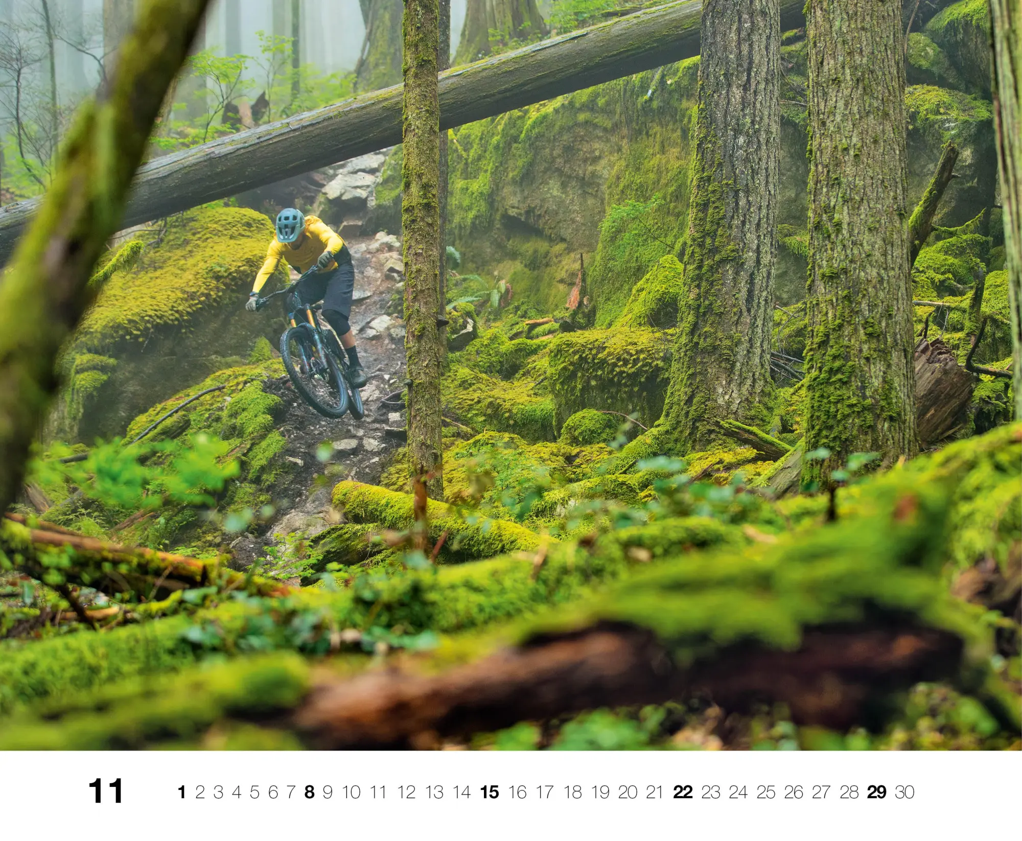 Bild: 9783667130860 | Freeride 2026 | Kalender | 14 S. | Deutsch | 2026 | EAN 9783667130860