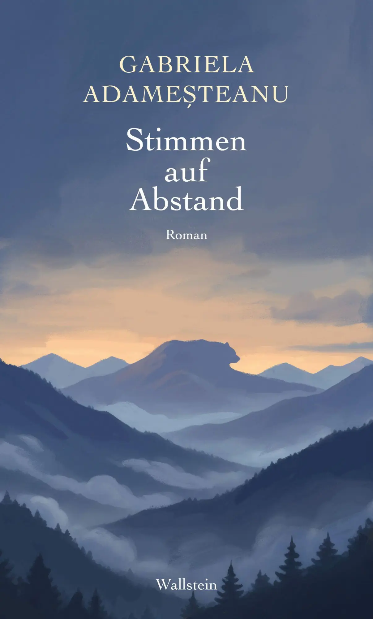 Cover: 9783835360860 | Stimmen auf Abstand | Roman | Gabriela Adamesteanu | Buch | 383 S.