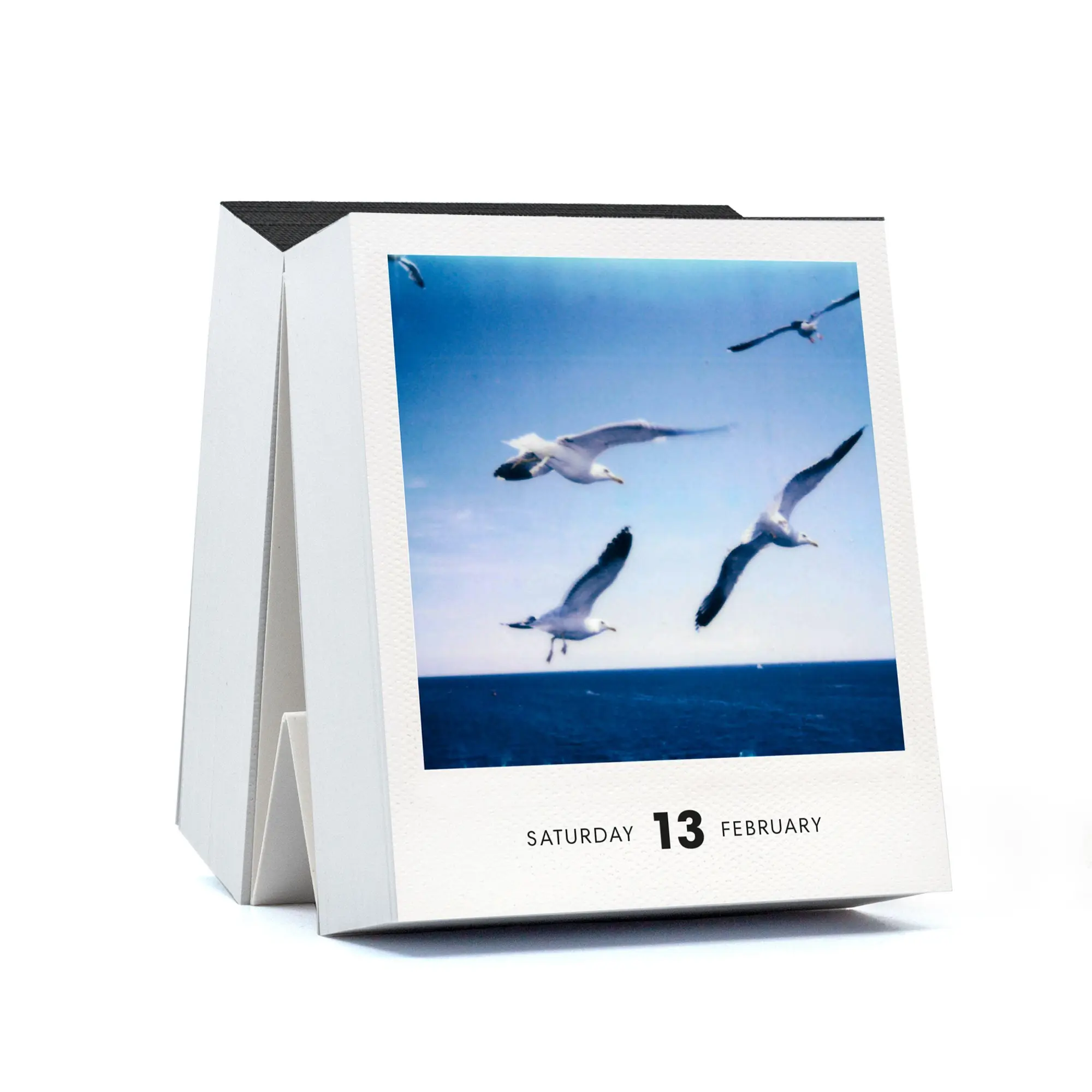Bild: 9783949070860 | PHOTODARIUM 2027 | A Calendar for 2027 with 365 Polaroid Pictures
