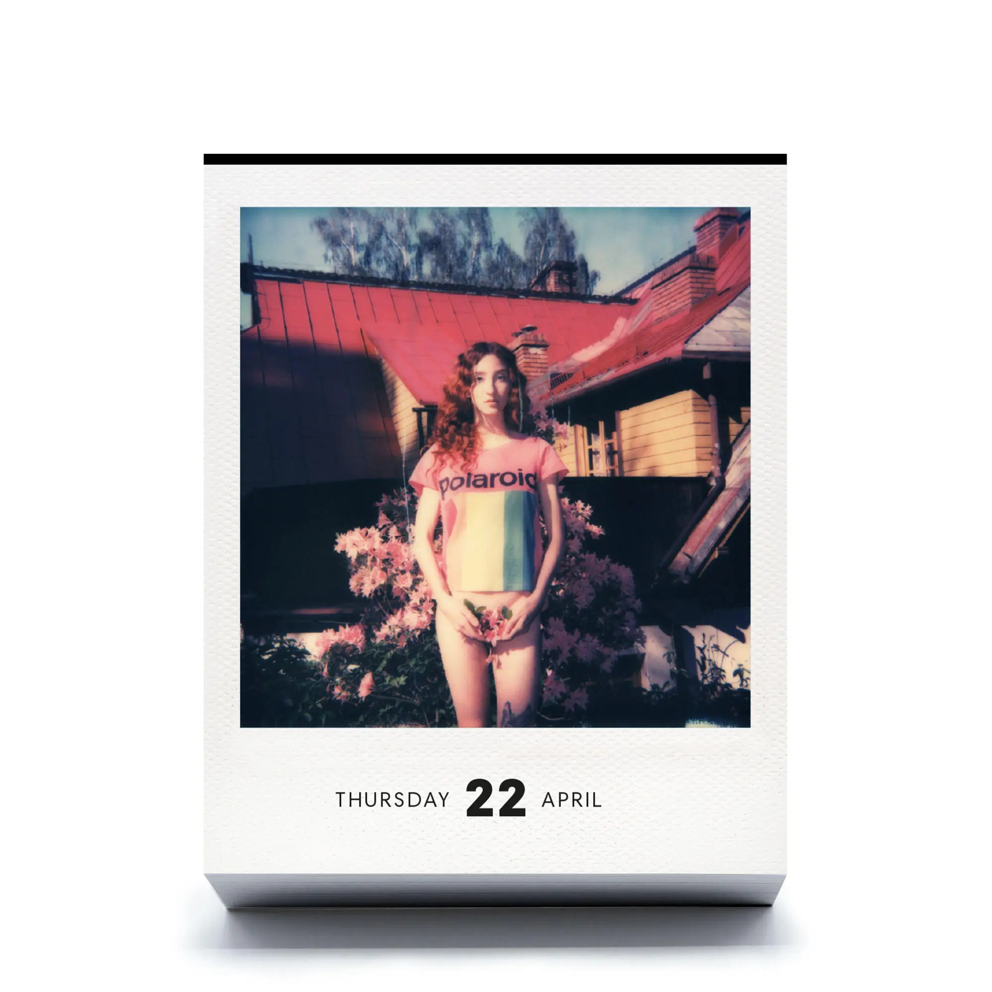 Bild: 9783949070860 | PHOTODARIUM 2027 | A Calendar for 2027 with 365 Polaroid Pictures