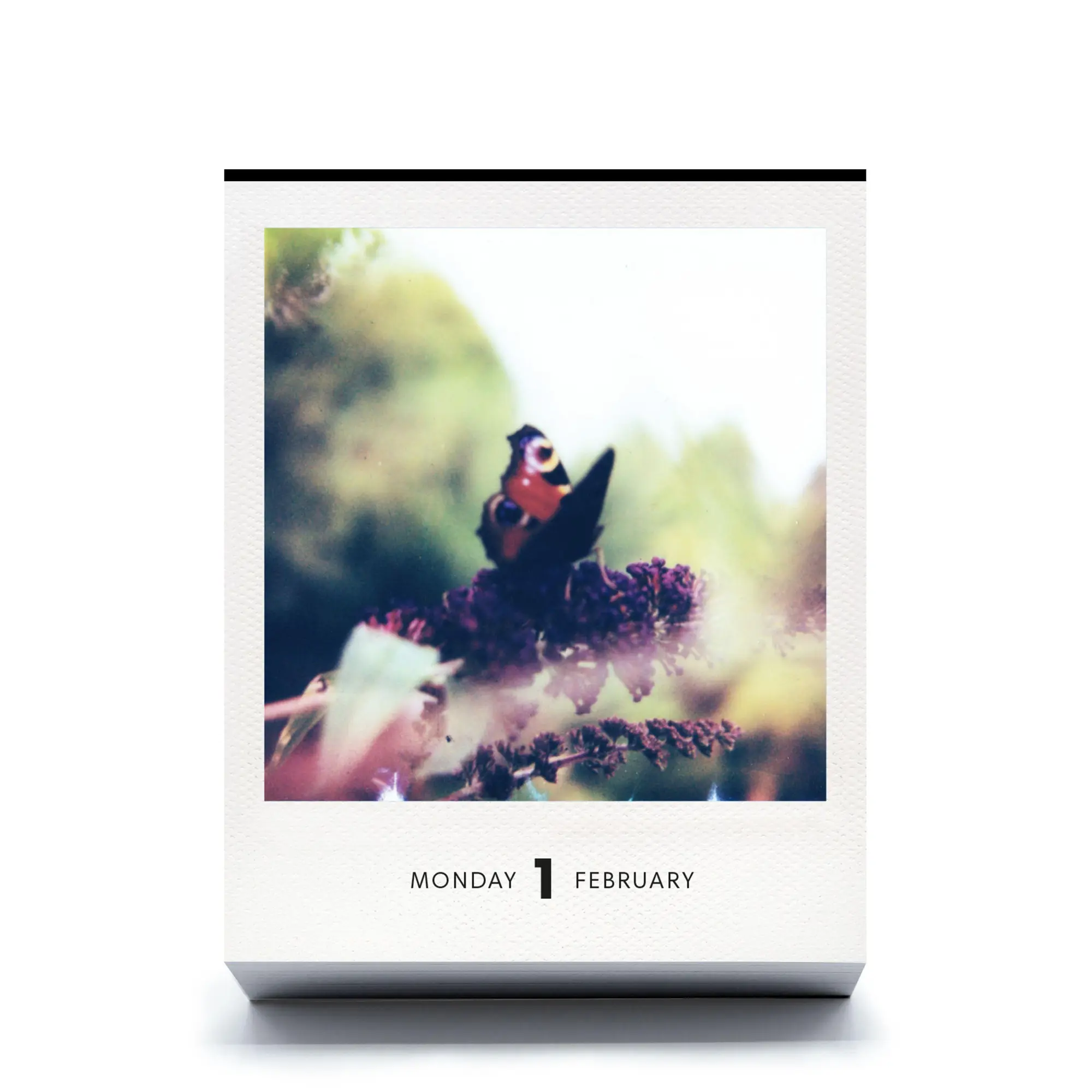 Bild: 9783949070860 | PHOTODARIUM 2027 | A Calendar for 2027 with 365 Polaroid Pictures