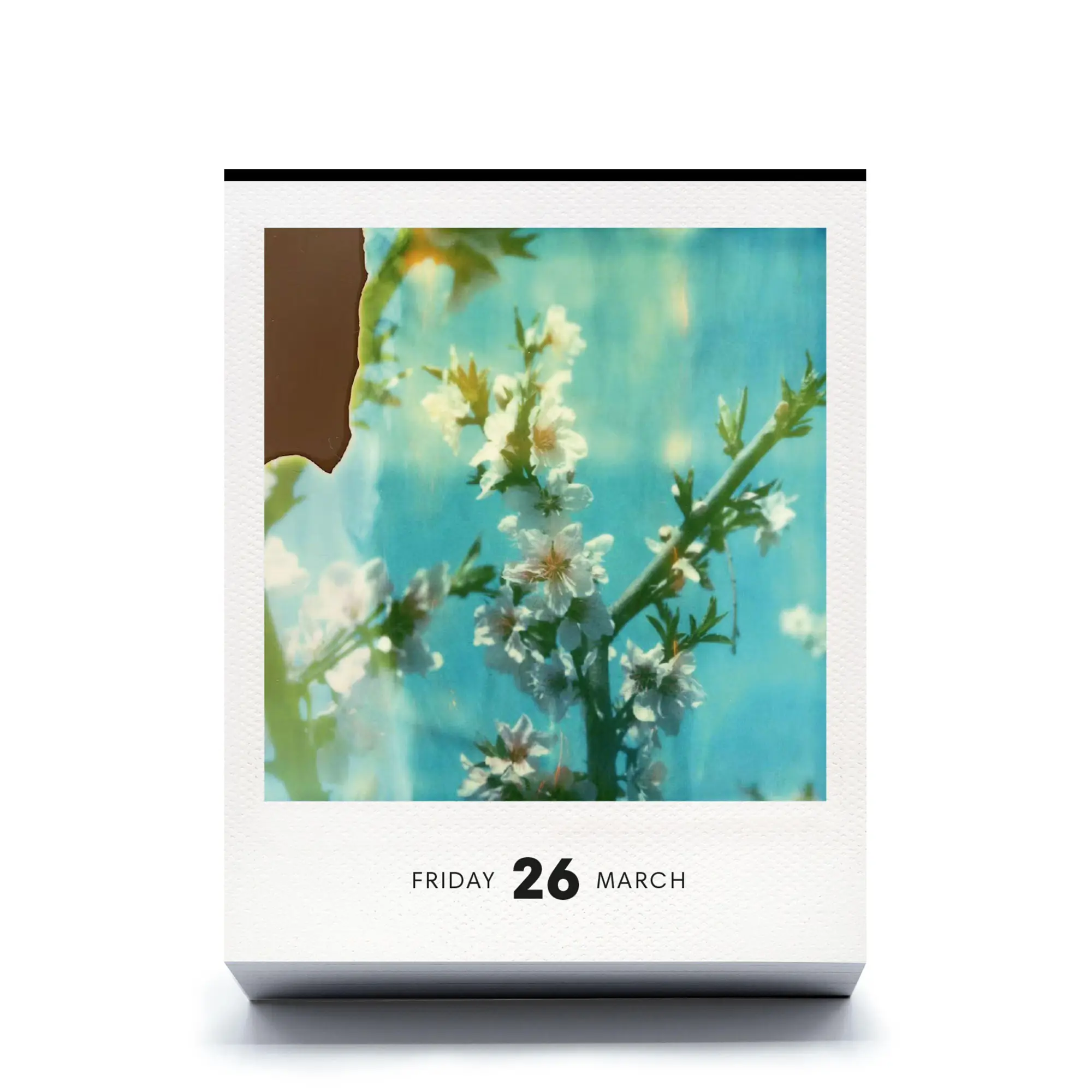 Bild: 9783949070860 | PHOTODARIUM 2027 | A Calendar for 2027 with 365 Polaroid Pictures