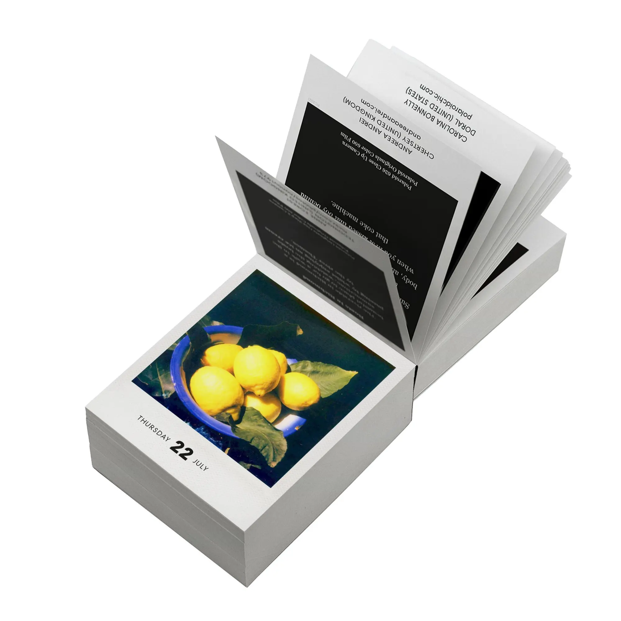 Bild: 9783949070860 | PHOTODARIUM 2027 | A Calendar for 2027 with 365 Polaroid Pictures