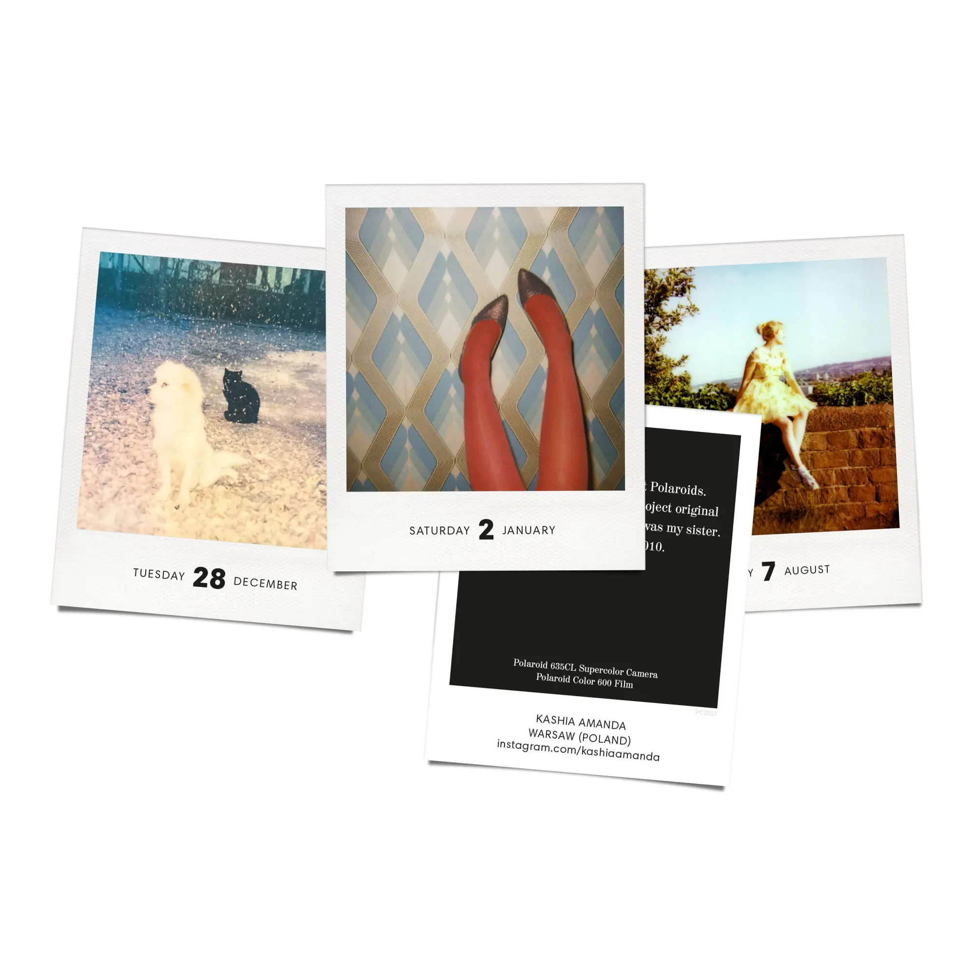 Bild: 9783949070860 | PHOTODARIUM 2027 | A Calendar for 2027 with 365 Polaroid Pictures