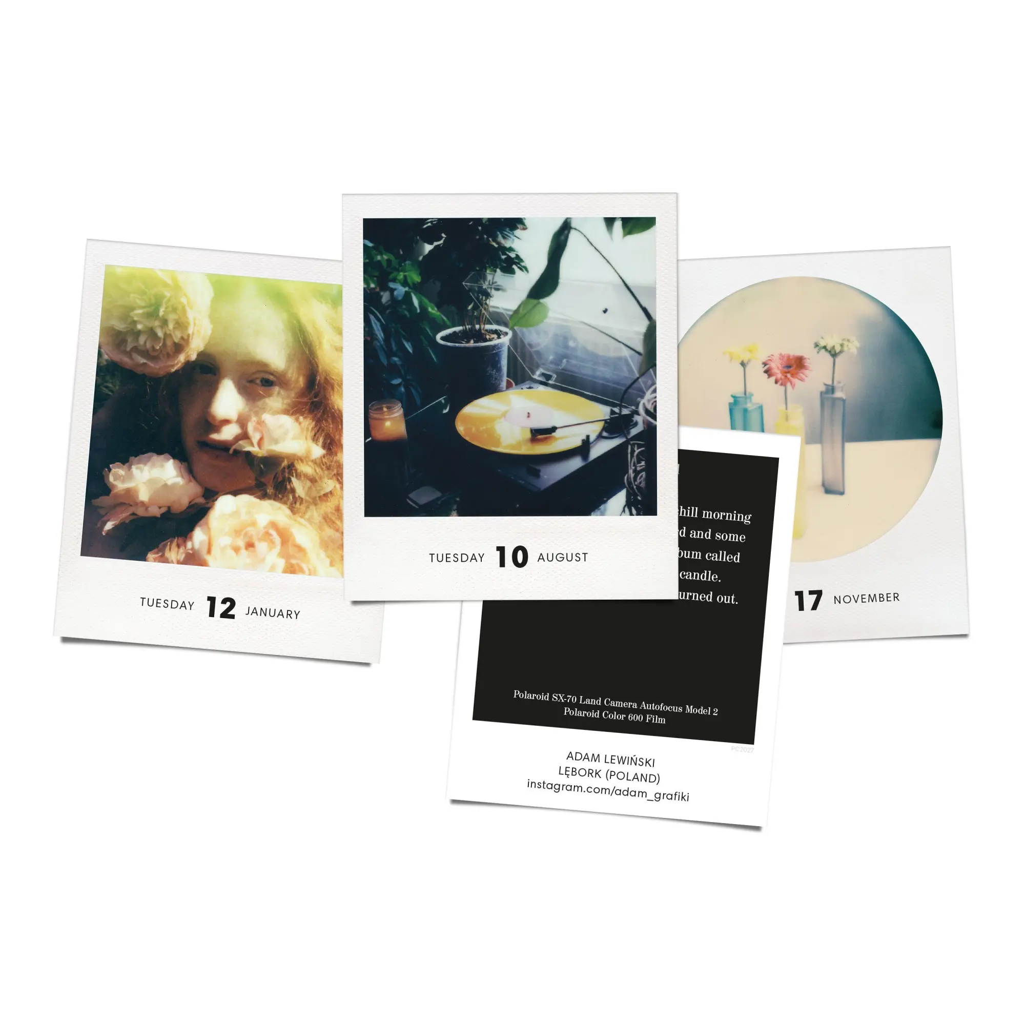 Bild: 9783949070860 | PHOTODARIUM 2027 | A Calendar for 2027 with 365 Polaroid Pictures