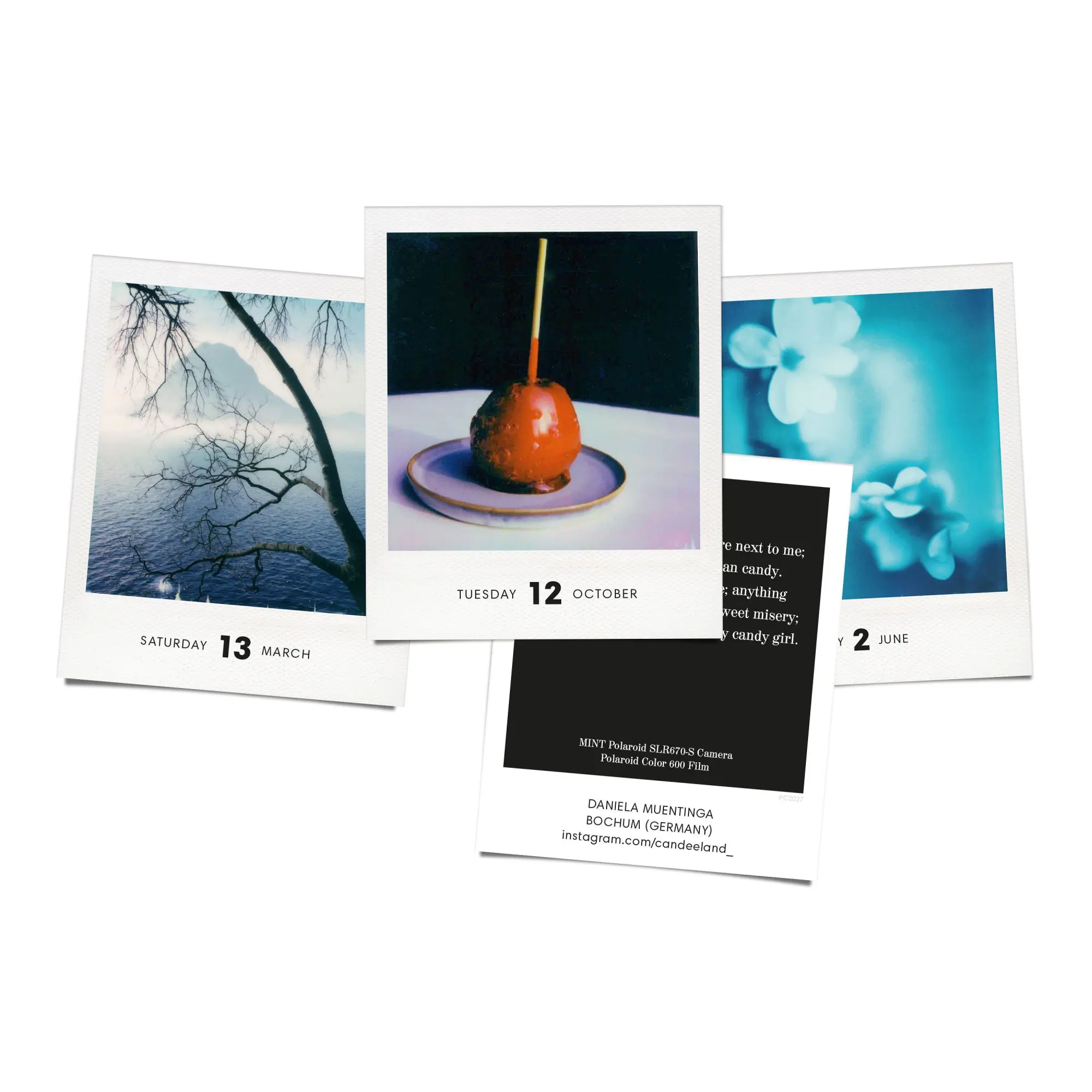 Bild: 9783949070860 | PHOTODARIUM 2027 | A Calendar for 2027 with 365 Polaroid Pictures