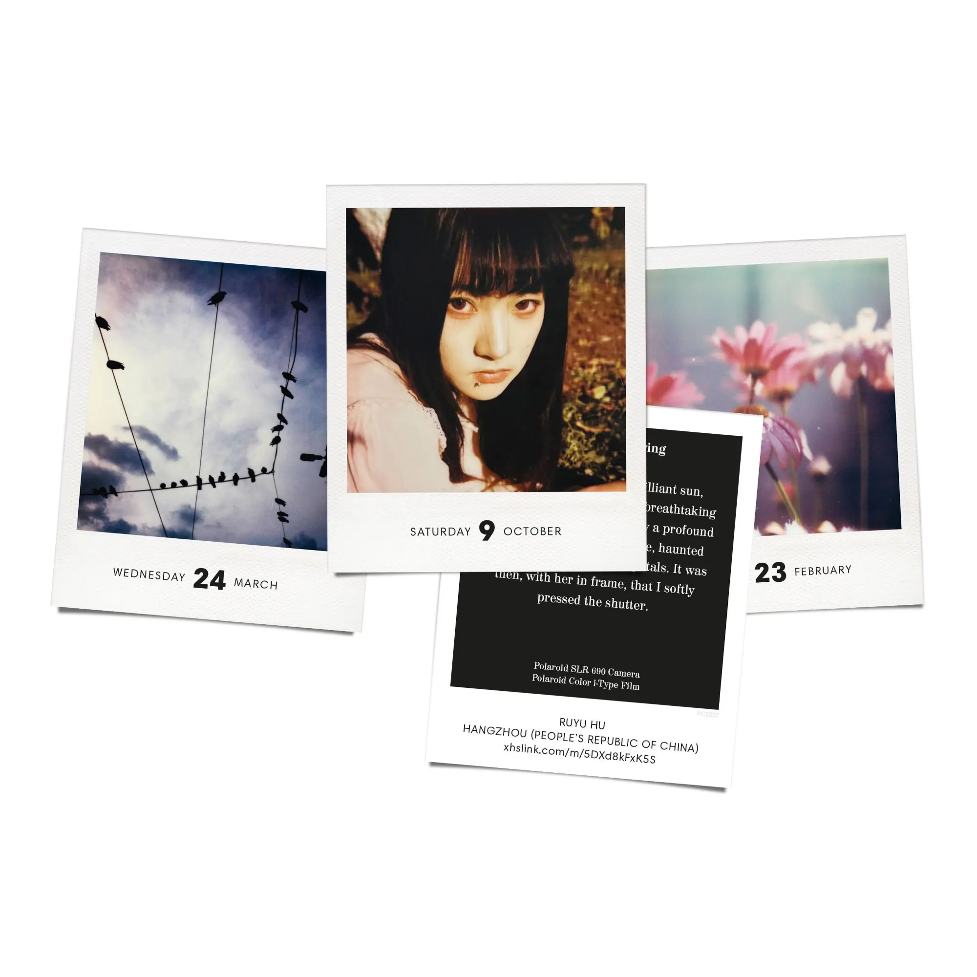 Bild: 9783949070860 | PHOTODARIUM 2027 | A Calendar for 2027 with 365 Polaroid Pictures