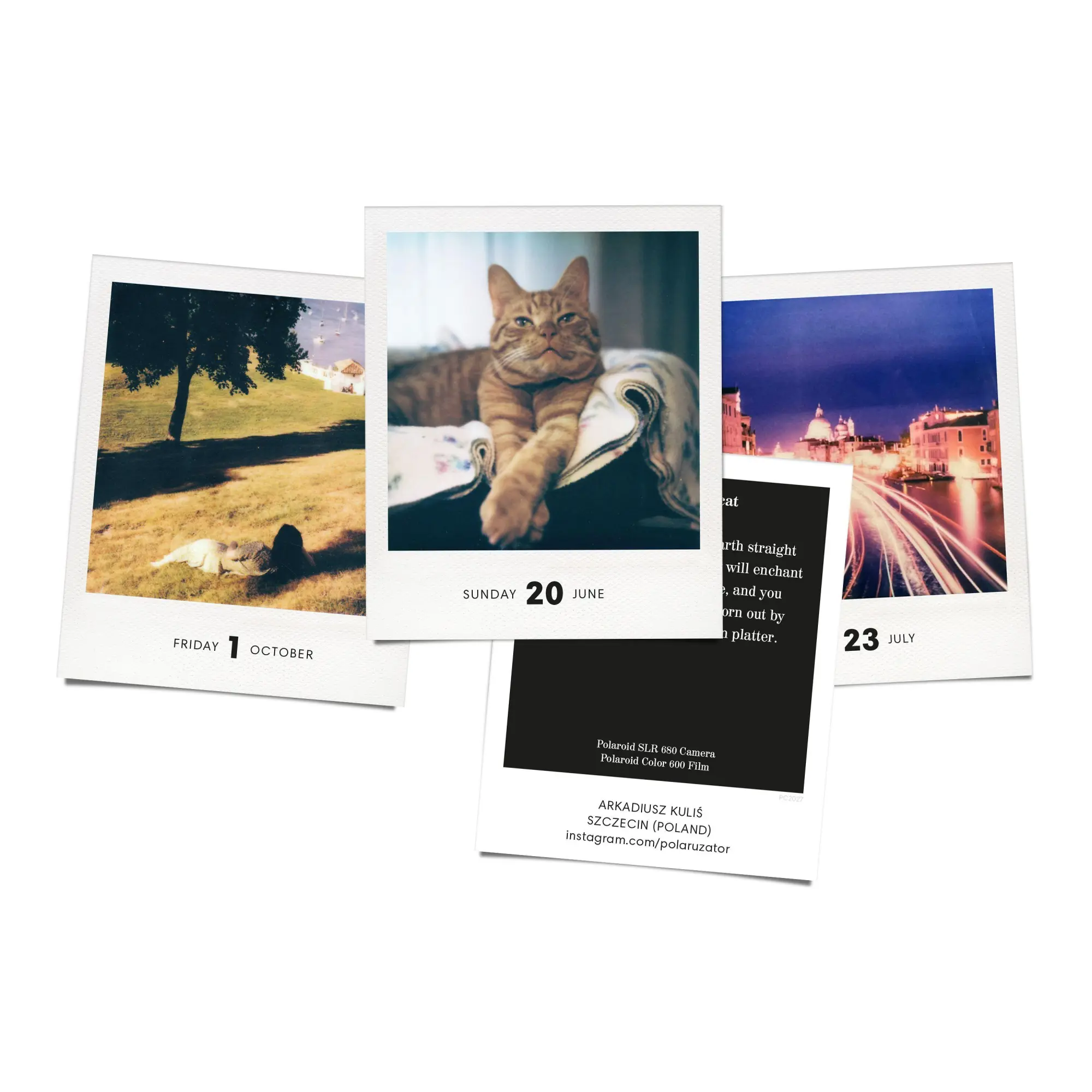 Bild: 9783949070860 | PHOTODARIUM 2027 | A Calendar for 2027 with 365 Polaroid Pictures
