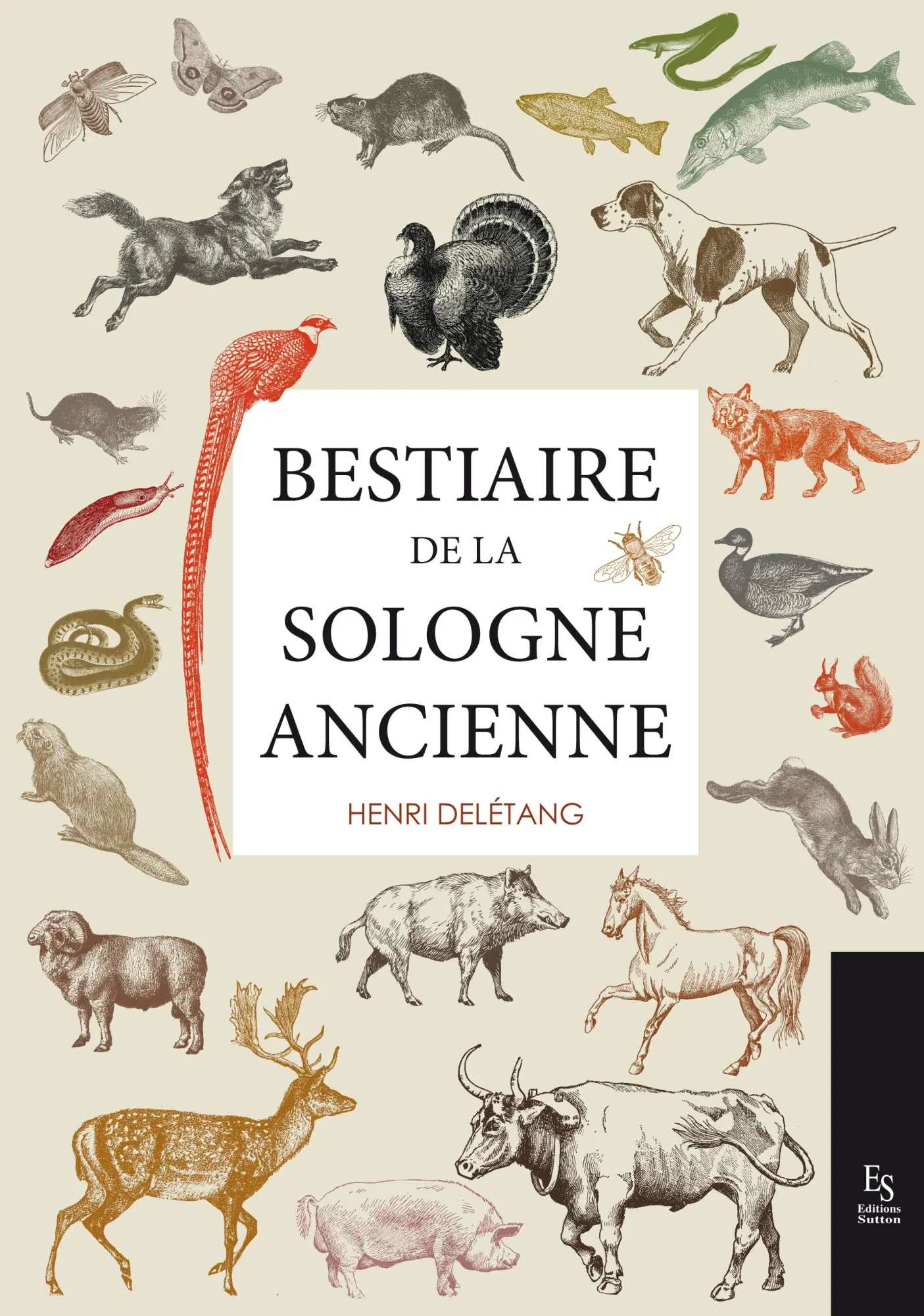Cover: 9782813810960 | Bestiaire de la Sologne ancienne | Henri Delétang | Taschenbuch | 2025