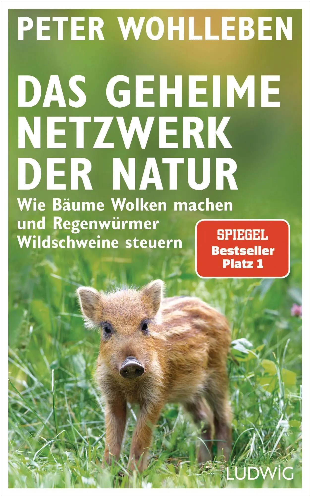 Cover: 9783453280960 | Das geheime Netzwerk der Natur | Peter Wohlleben | Buch | 224 S.