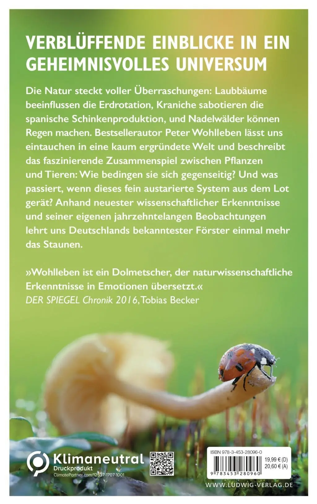 Bild: 9783453280960 | Das geheime Netzwerk der Natur | Peter Wohlleben | Buch | 224 S.