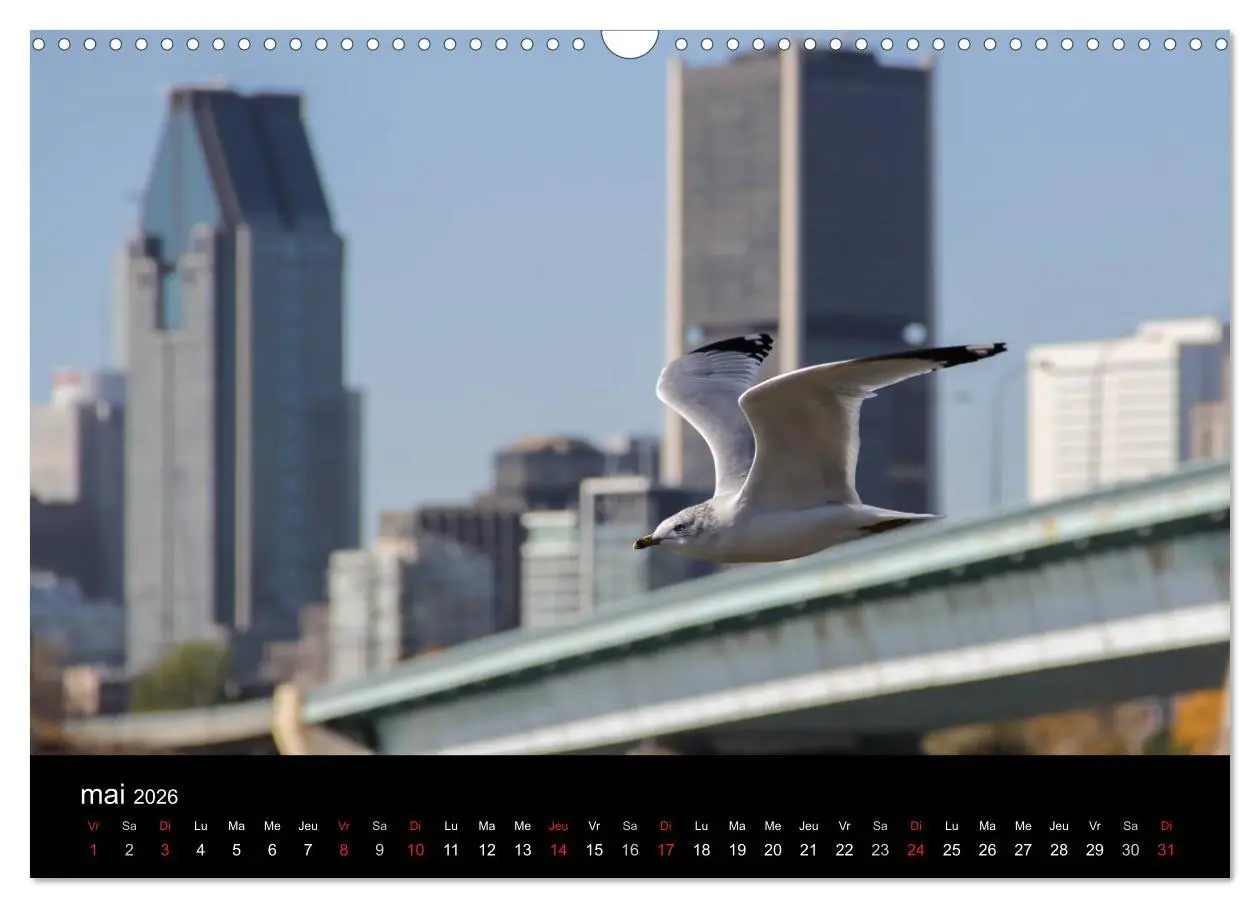Bild: 9783516570960 | MONTRÉAL (Calendrier mural 2026 DIN A3 vertical), CALVENDO...