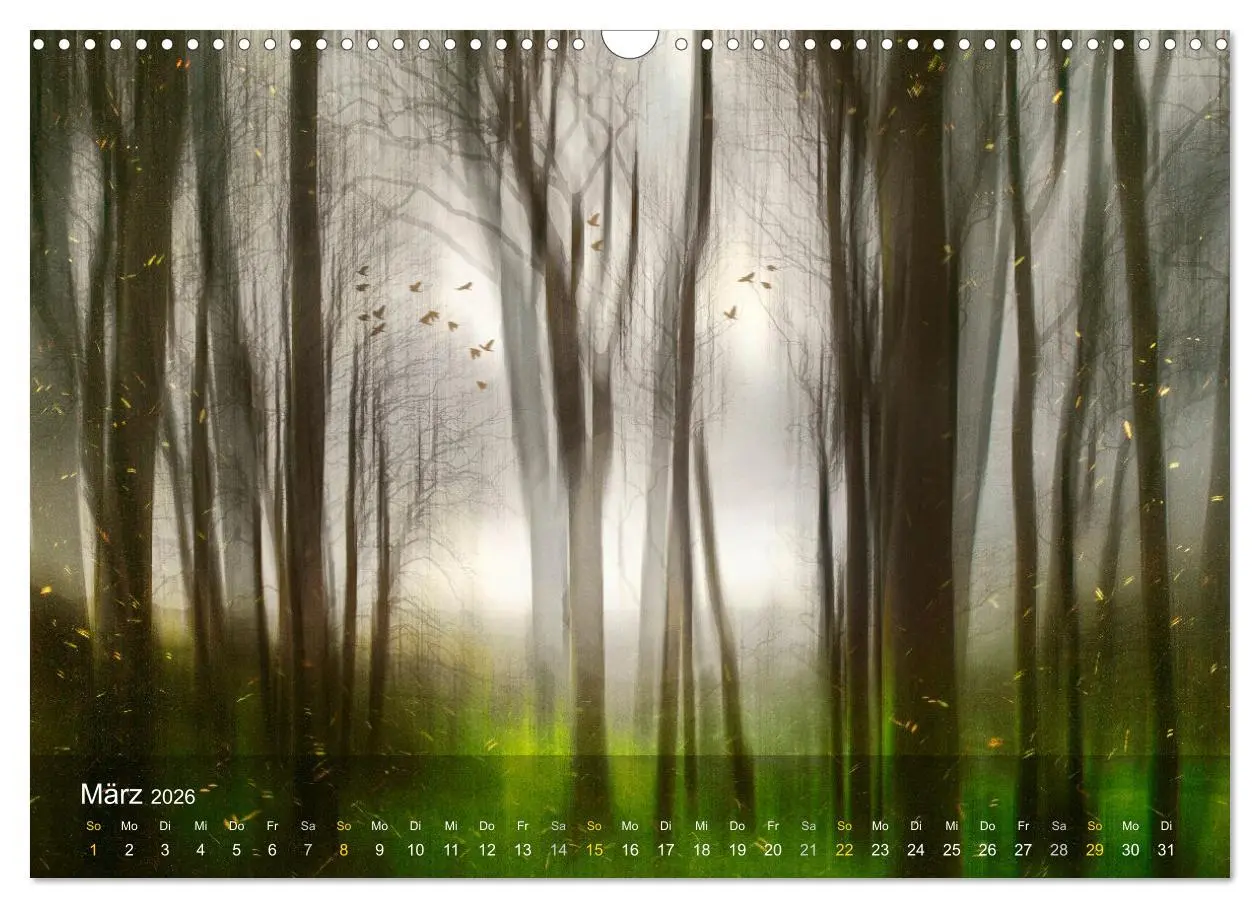 Bild: 9783457511060 | Das Schweigen der Bäume (Wandkalender 2026 DIN A3 quer), CALVENDO...
