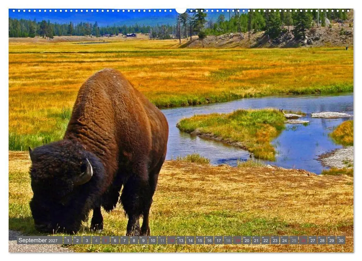 Bild: 9783594131060 | Wyoming ¿ Impressionen (hochwertiger Premium Wandkalender 2027 DIN...