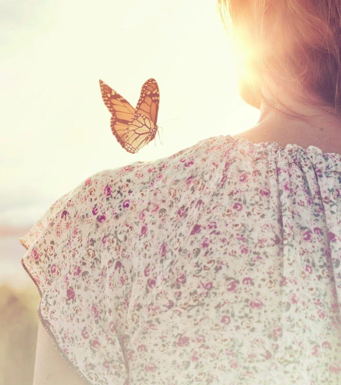 Autor: 9783989541160 | Bis mein Herz dich findet (Liebesroman) | Josefine Weiss | Taschenbuch