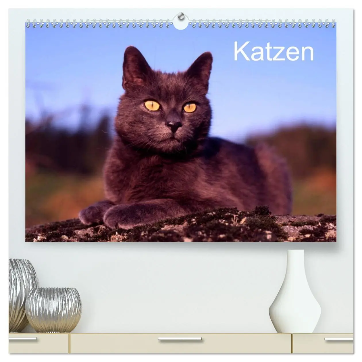 Cover: 9783516201260 | Katzen (hochwertiger Premium Wandkalender 2026 DIN A2 quer),...