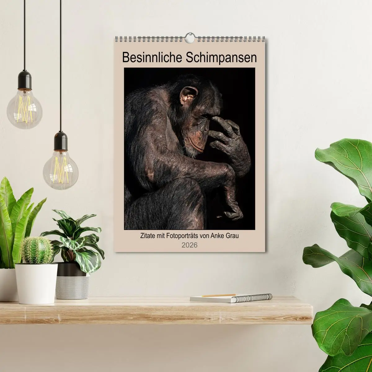 Bild: 9783516371260 | Besinnliche Schimpansen (Wandkalender 2026 DIN A3 hoch), CALVENDO...