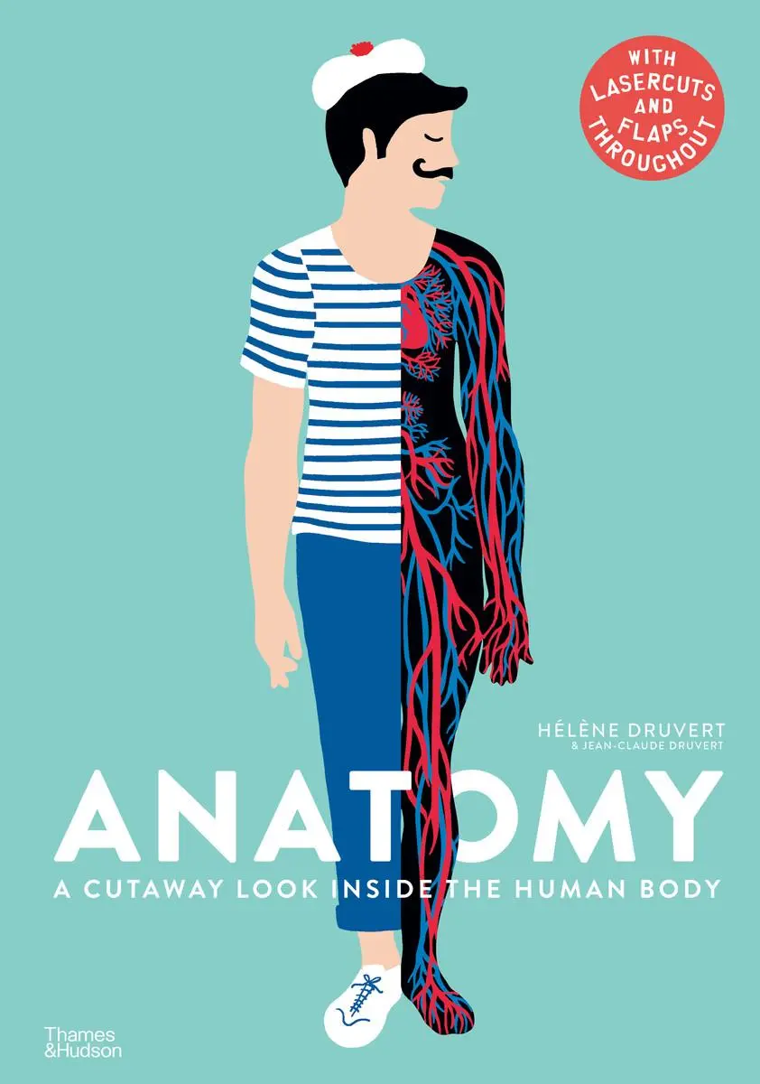 Cover: 9780500651360 | Anatomy | A Cutaway Look Inside the Human Body | Druvert (u. a.) Cover: 9780500651360 | Anatomy | A Cutaway Look Inside the Human Body | Druvert (u. a.)