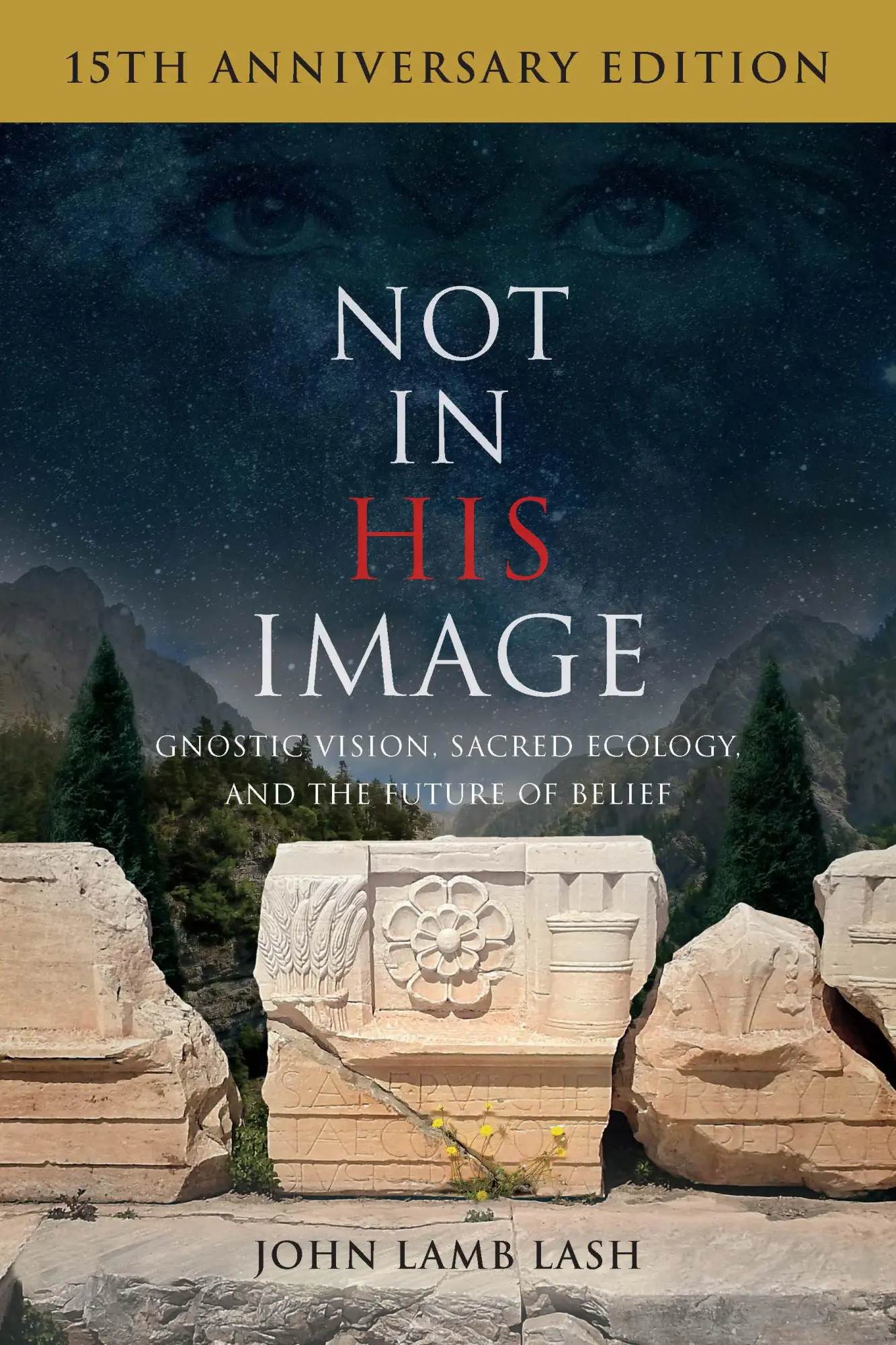 Cover: 9781645021360 | Not in His Image (15th Anniversary Edition) | John Lamb Lash | Buch Cover: 9781645021360 | Not in His Image (15th Anniversary Edition) | John Lamb Lash | Buch