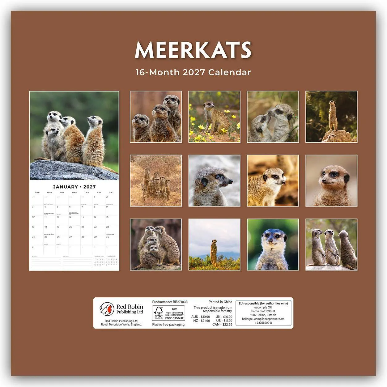 Rückseite: 9781837011360 | Meerkats - Erdmännchen 2027 - 16-Monatskalender | Robin Red | Kalender