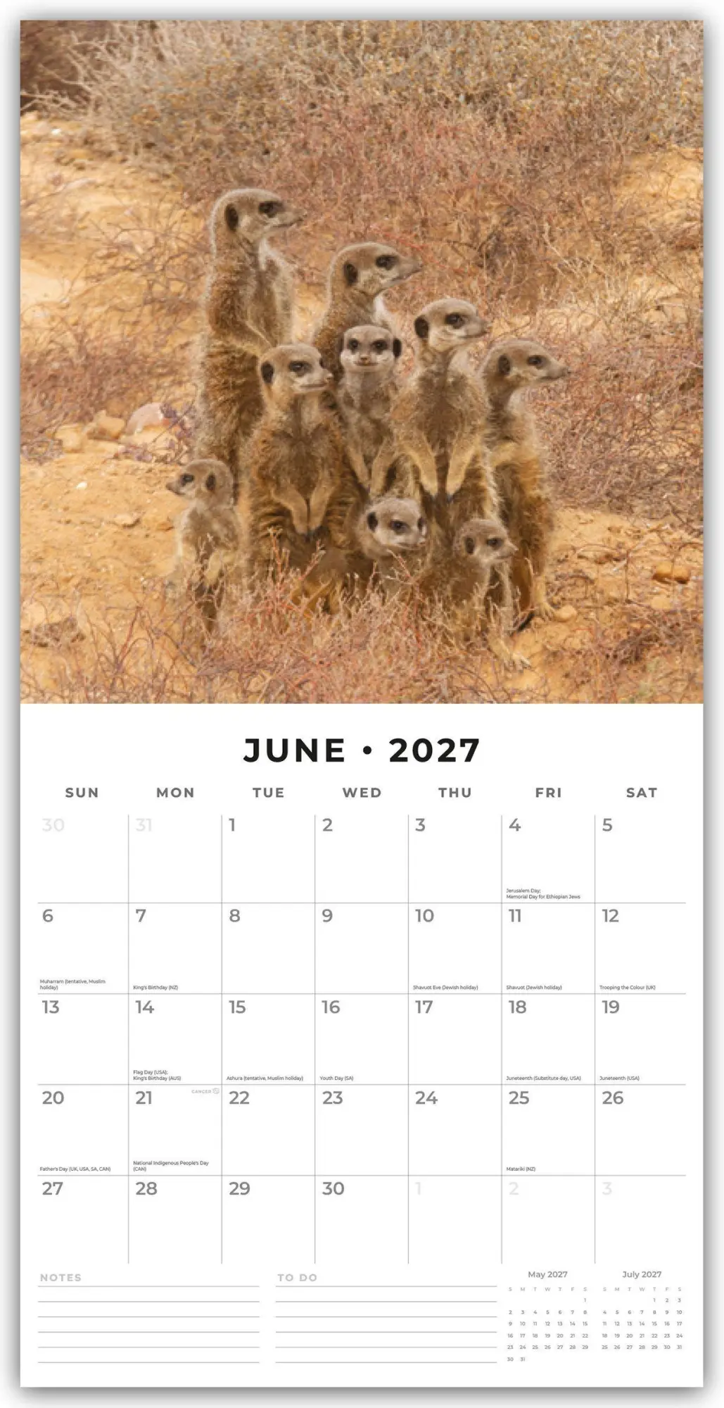 Bild: 9781837011360 | Meerkats - Erdmännchen 2027 - 16-Monatskalender | Robin Red | Kalender