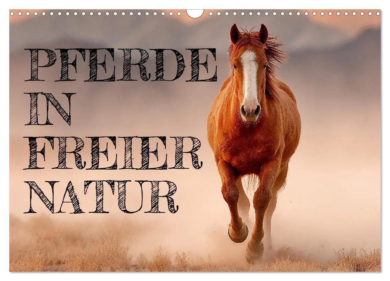 Cover: 9783516671360 | Pferde in freier Natur (Wandkalender 2026 DIN A3 quer), CALVENDO...