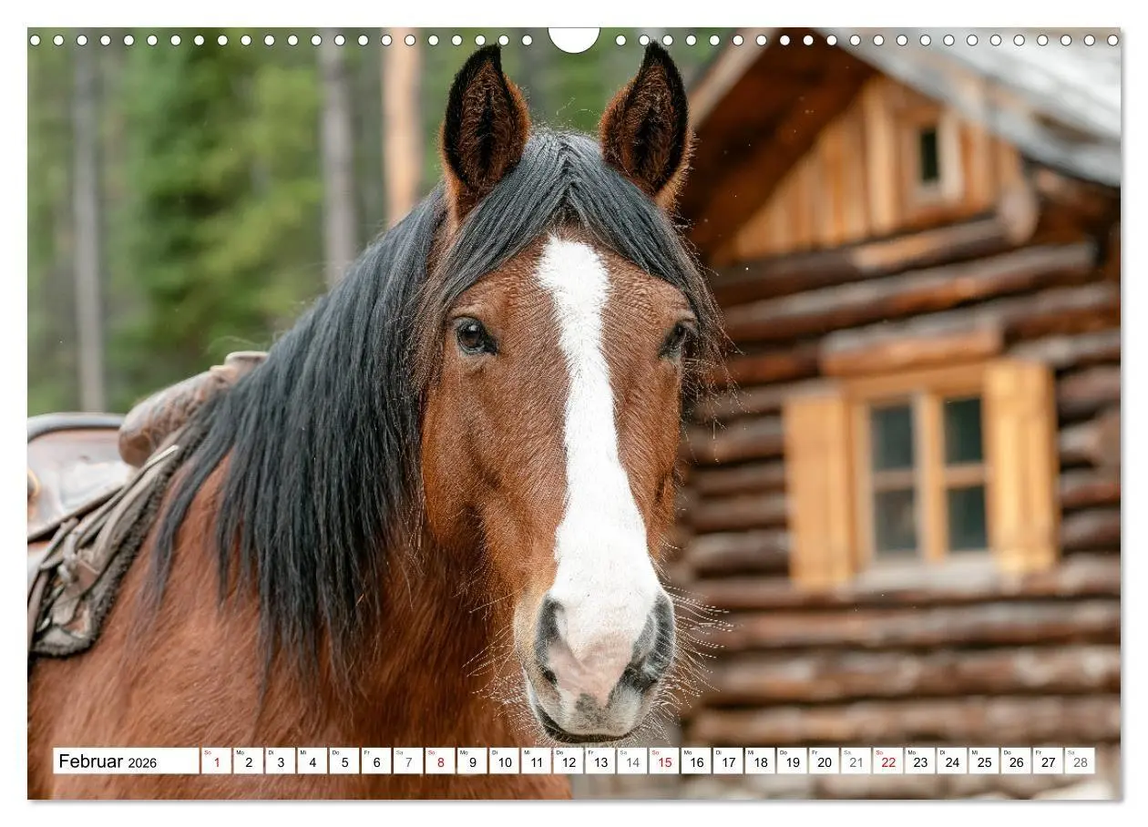 Bild: 9783516671360 | Pferde in freier Natur (Wandkalender 2026 DIN A3 quer), CALVENDO...