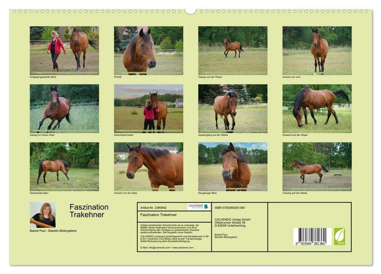 Bild: 9783569381360 | Faszination Trakehner (hochwertiger Premium Wandkalender 2027 DIN...