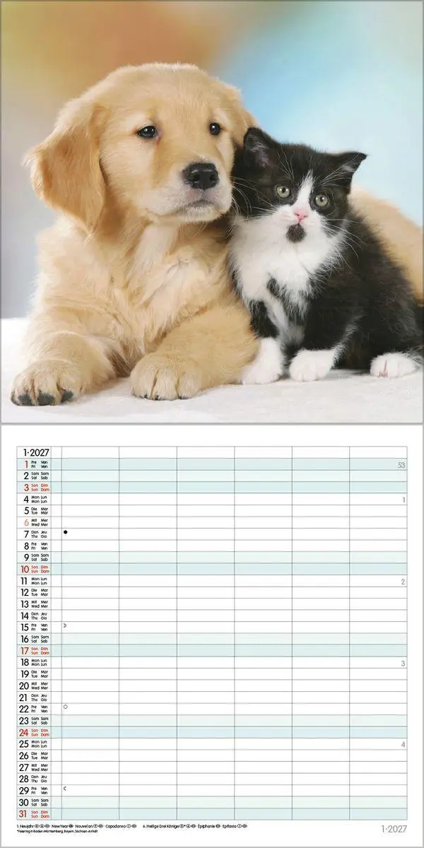 Bild: 9783819301360 | Tierfreundschaften - Familientimer 2027 | Verlag Korsch | Kalender